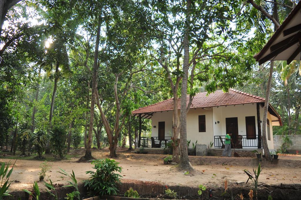 Soba Lanka Holiday Resort Melsiripura Exterior foto