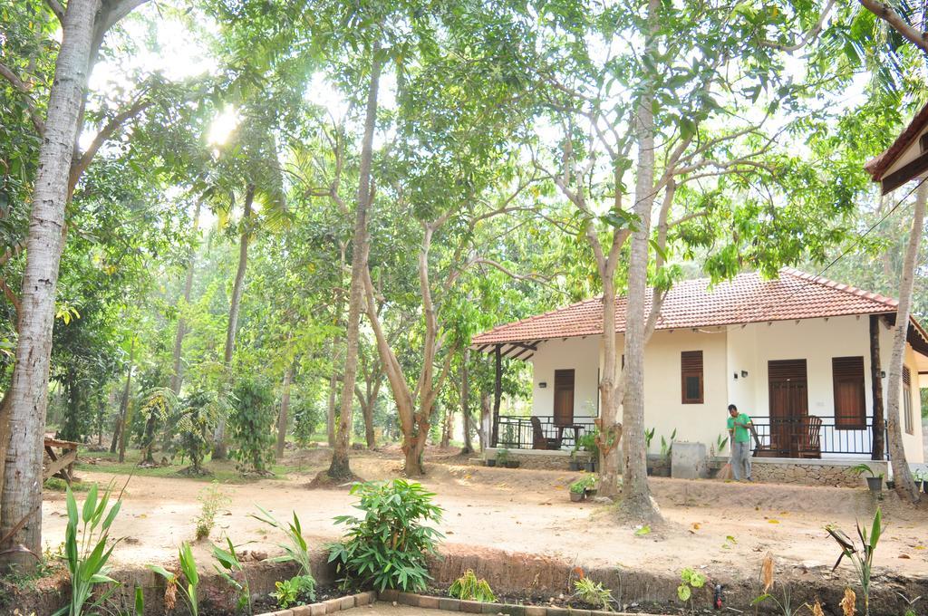 Soba Lanka Holiday Resort Melsiripura Exterior foto