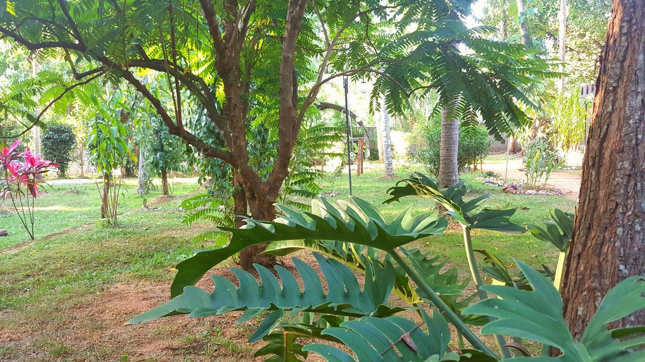 Soba Lanka Holiday Resort Melsiripura Exterior foto
