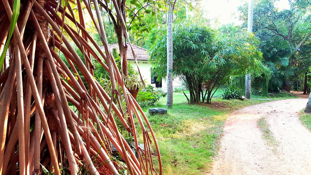 Soba Lanka Holiday Resort Melsiripura Exterior foto