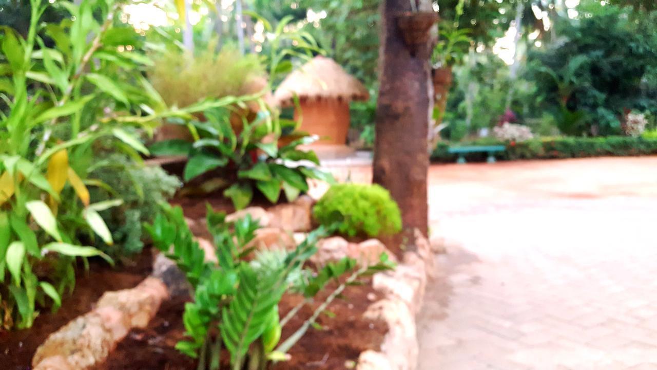 Soba Lanka Holiday Resort Melsiripura Exterior foto