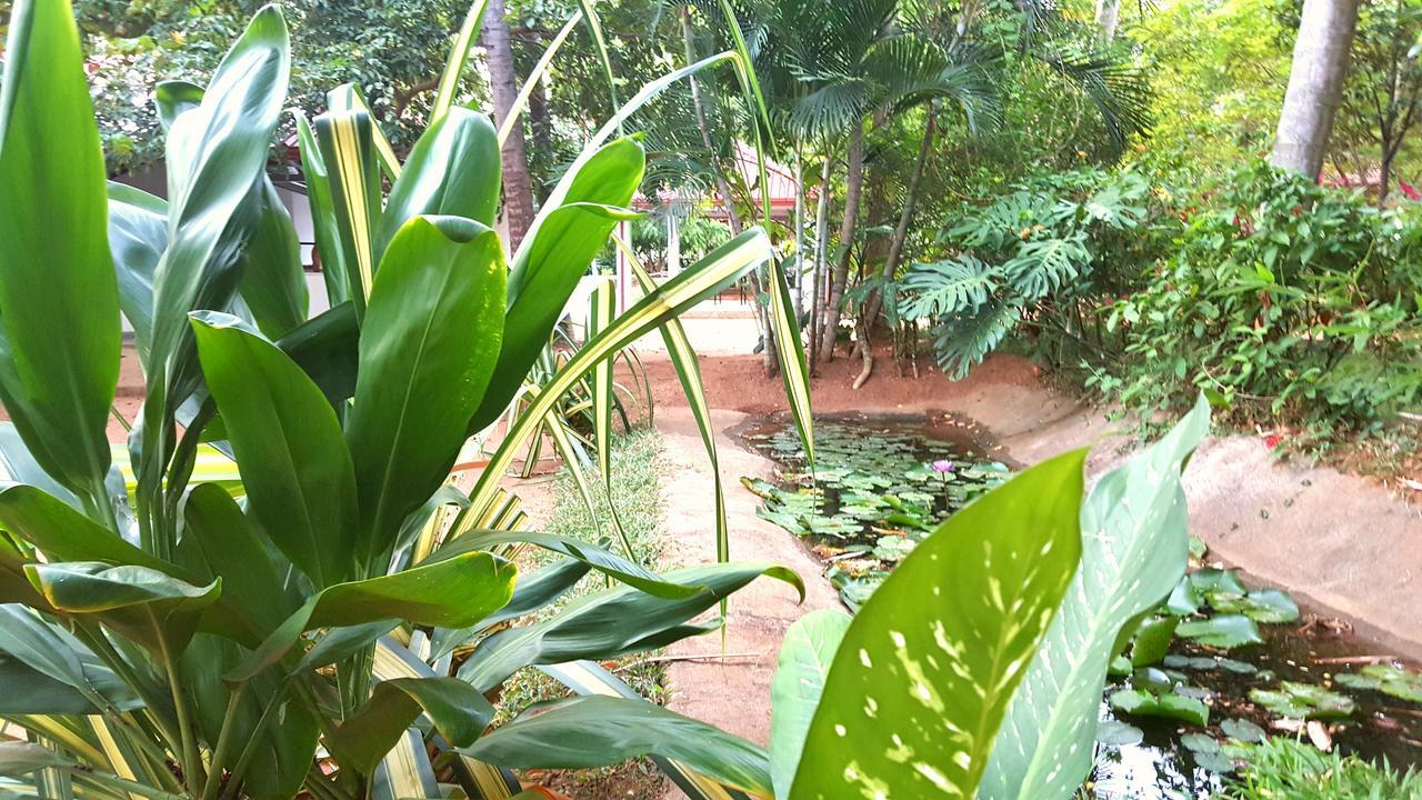 Soba Lanka Holiday Resort Melsiripura Exterior foto